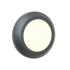 InLight Jocassee Outdoor Wall Lamp Anthracite CCT (80201440)