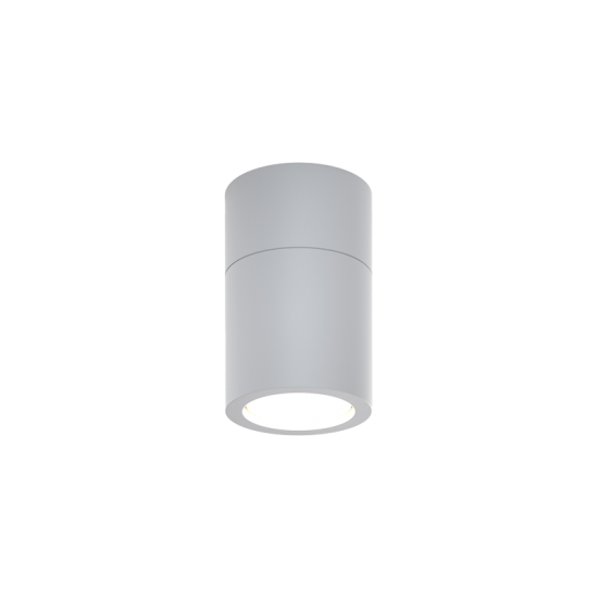 InLight Chelan Outdoor Ceiling Down Light Grey (80300134)